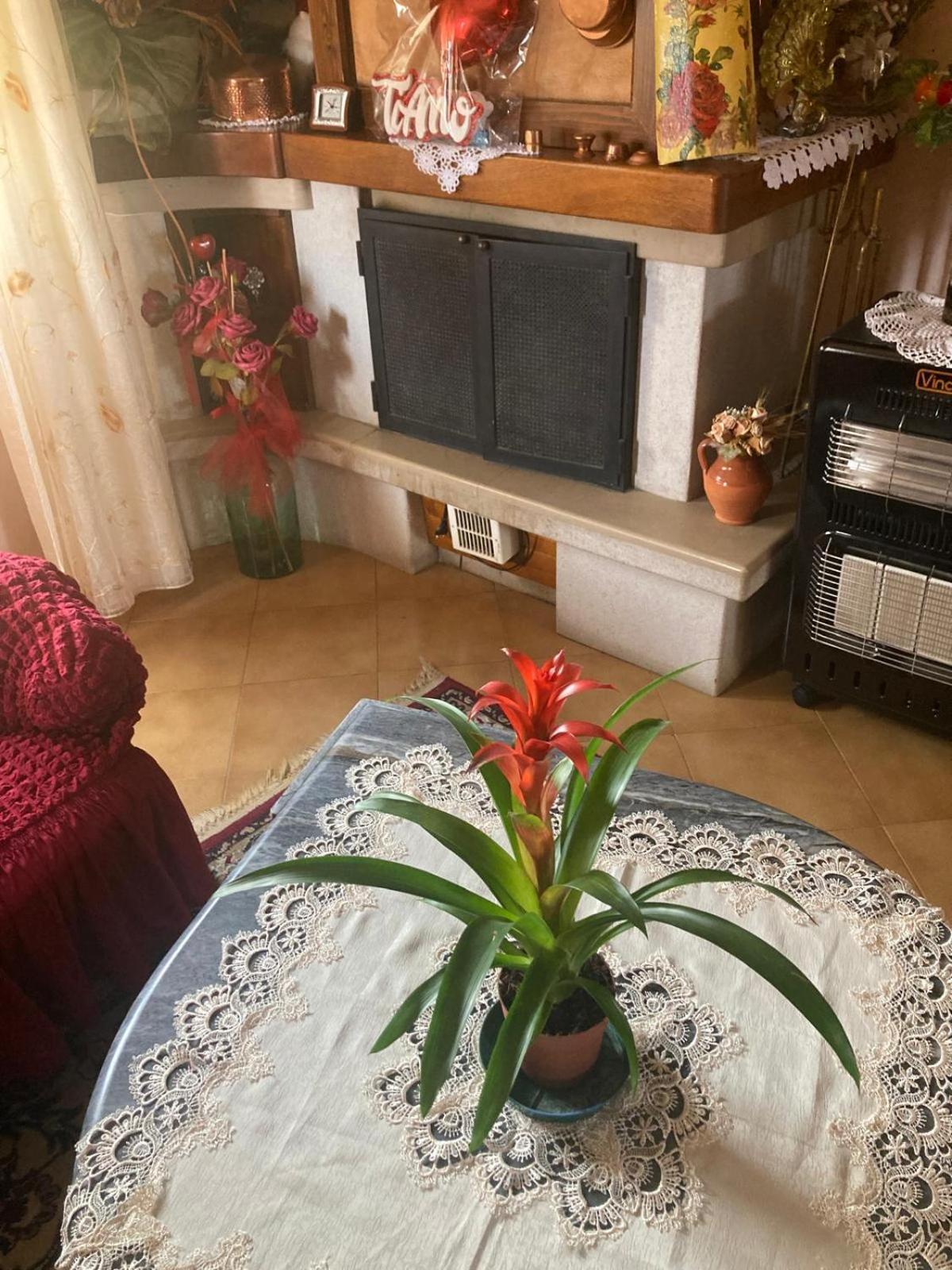 La Rosa Della Val D'orcia Apartment