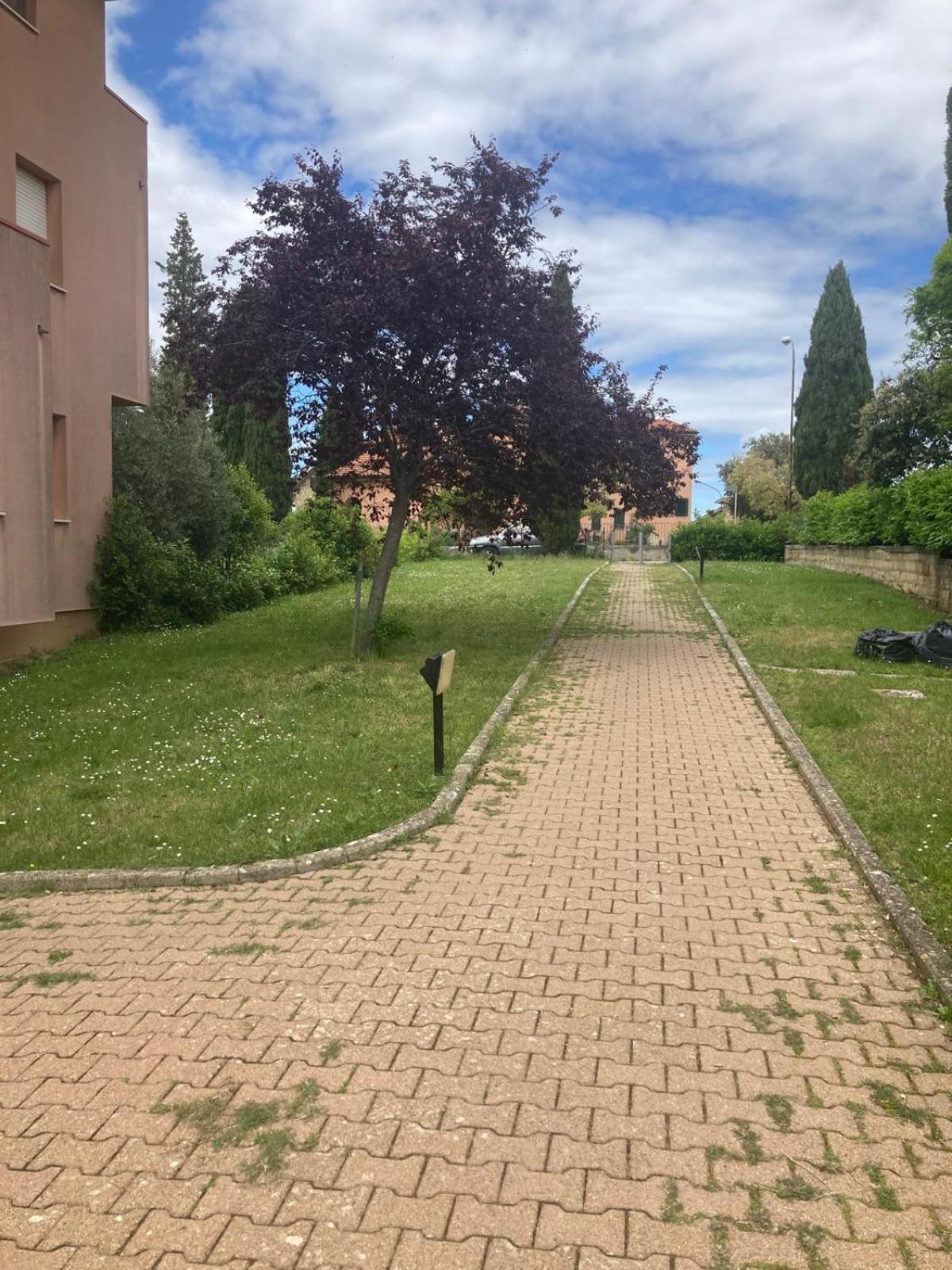 Apartment La Rosa Della Val D'orcia San Quirico d'Orcia