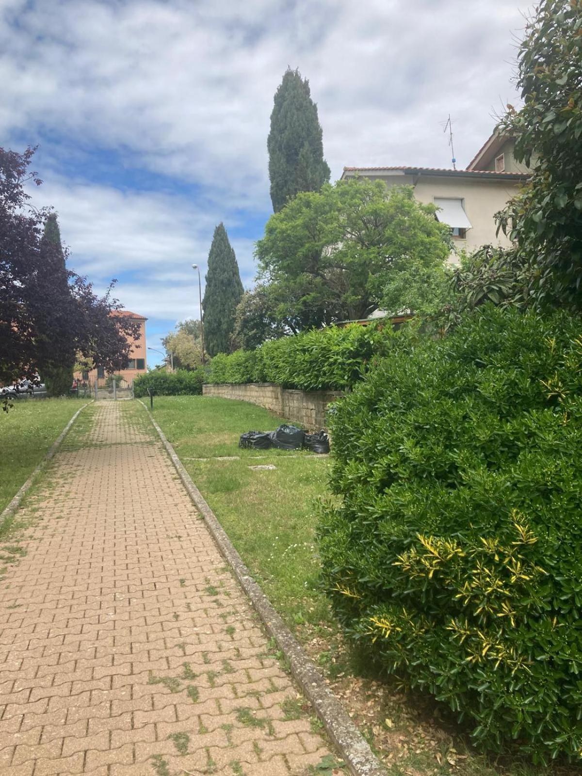 La Rosa Della Val D'orcia *